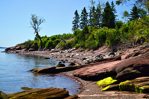 picture of maine shore with sandy beach