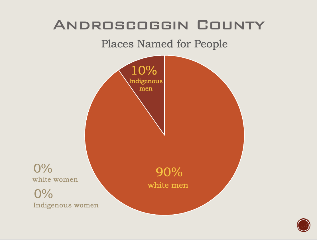 Graph of place name statistics for Androscoggin County, Maine. 